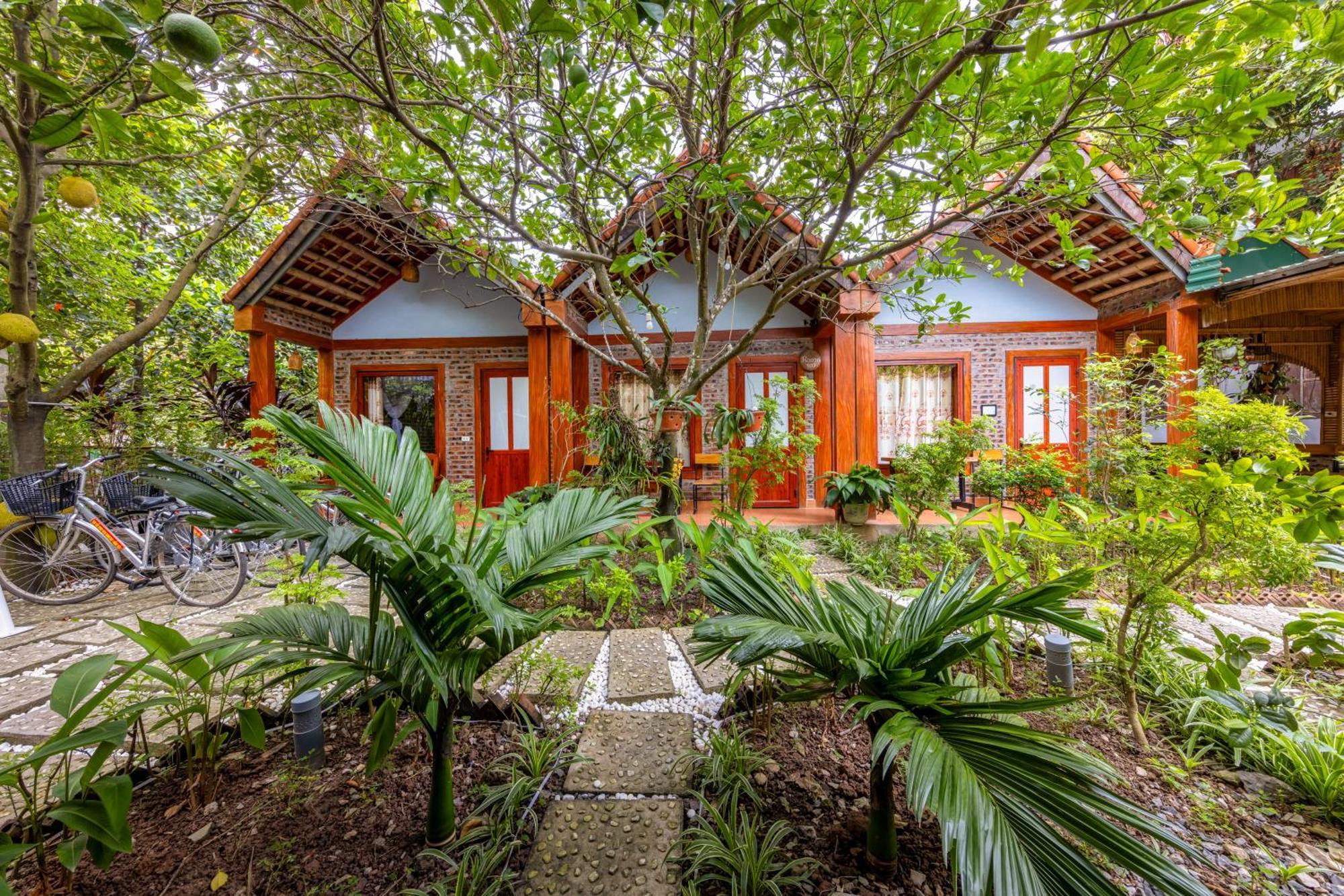 Tam Coc Moonlight Bungalow Van Lam Zewnętrze zdjęcie